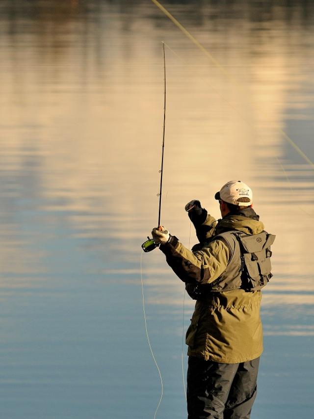 Pêche à la mouche