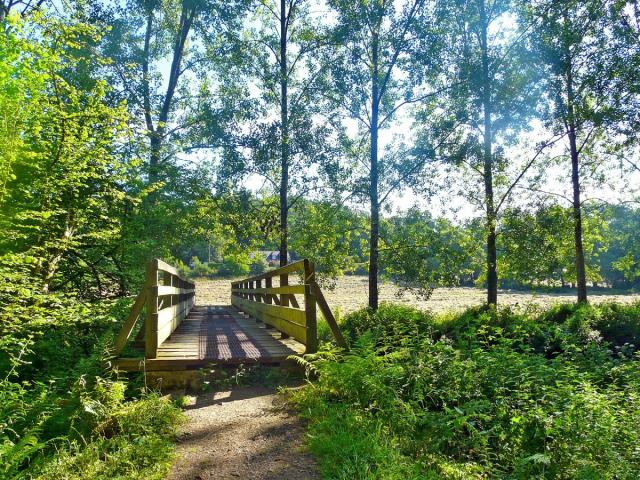 Sentier à Mézières-sur-Couesnon