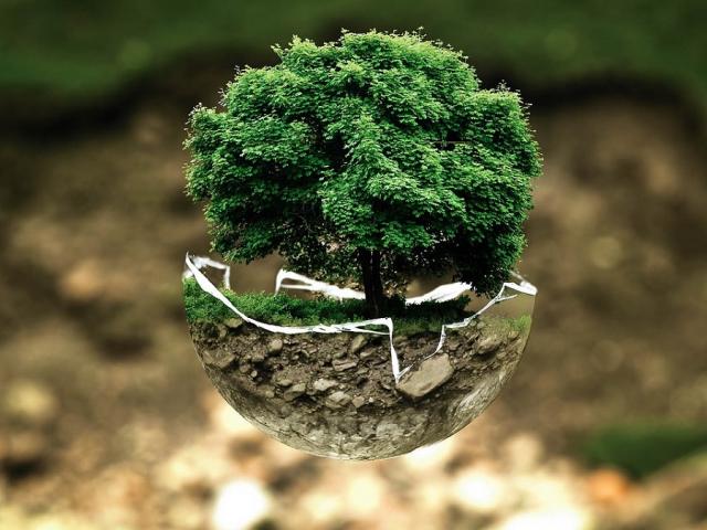 Stratégie durable