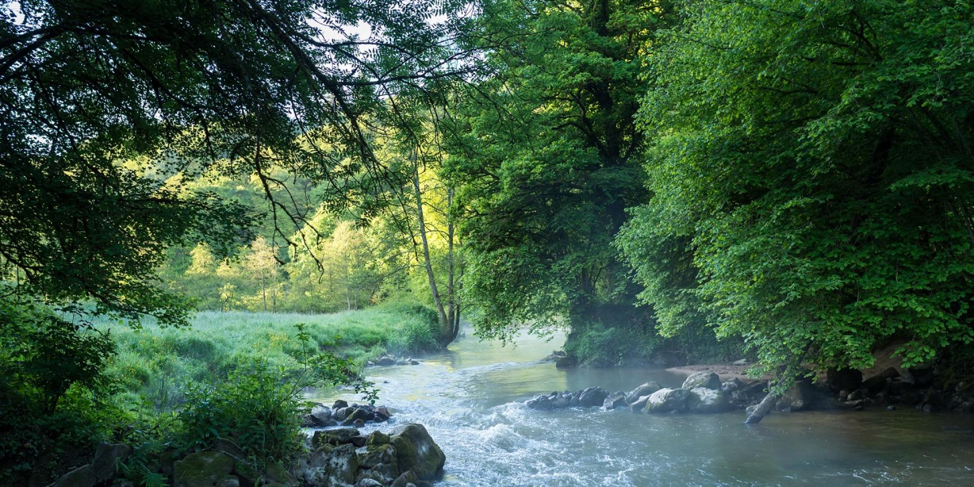 Vallée du Couesnon