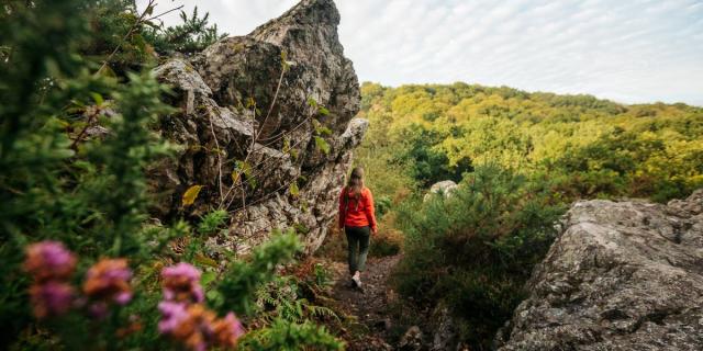 Espace naturel du Saut-Roland