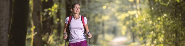 Randonnée dans la forêt de la Corbière à Marpiré