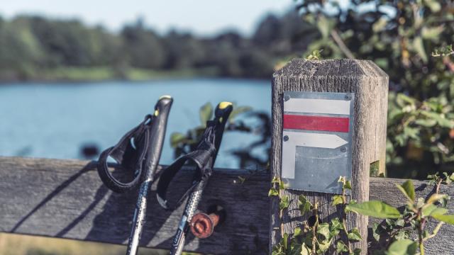 Randonnée sur les rives de l'étang de la Cantache près de Vitré