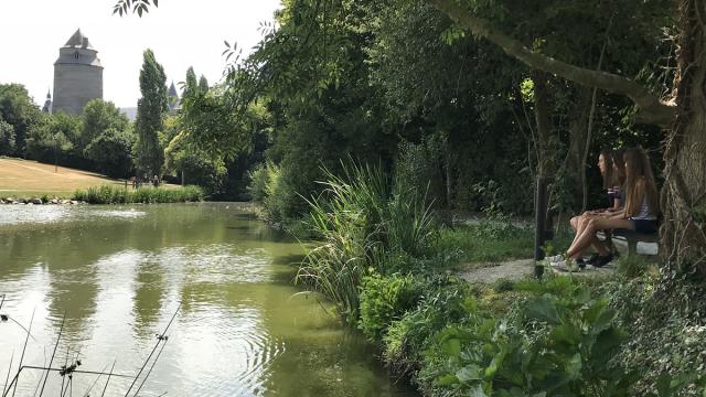 Etang de Châteaugiron
