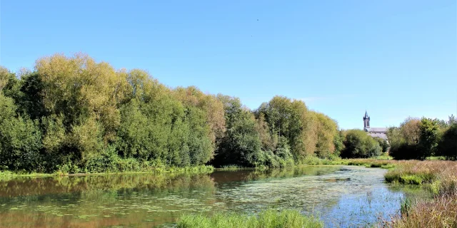 Espace naturel de la Glaume, Châteaugiron