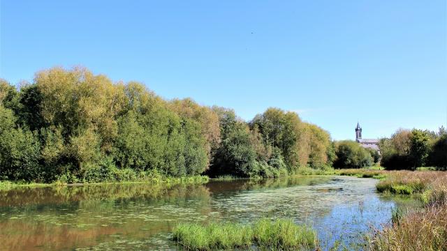 Espace naturel de la Glaume, Châteaugiron
