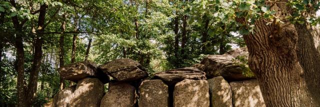 Dolmen de La Roche-aux-Fées, Essé