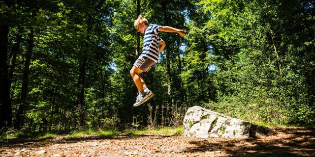 Chasse aux trésors en forêt de Brocéliande