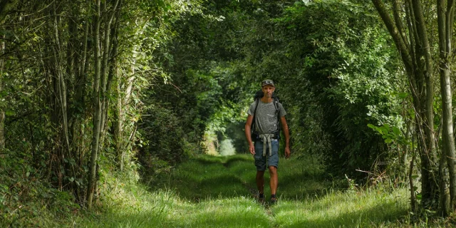 Sentier Gr37, Forêt de Villecartier