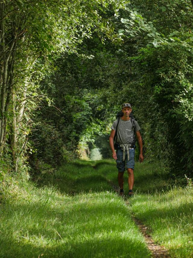 Sentier Gr37, Forêt de Villecartier