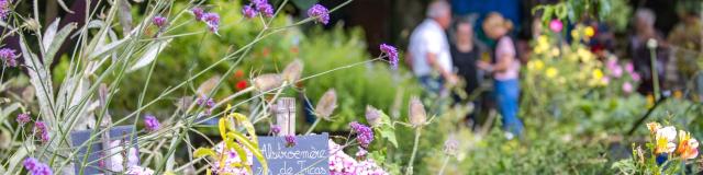 illeetvilaine_sbourcier_17072023_104.jpg