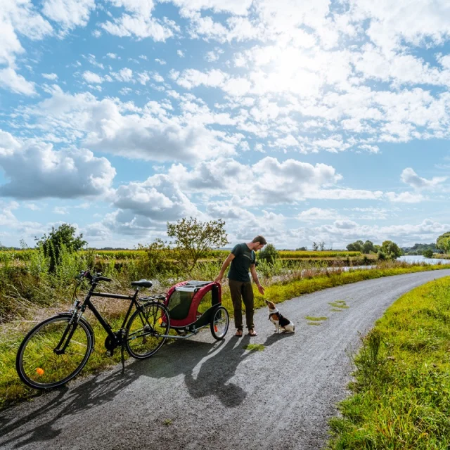 Balade à vélo le long de la Vilaine (La Chapelle-de-Brain)