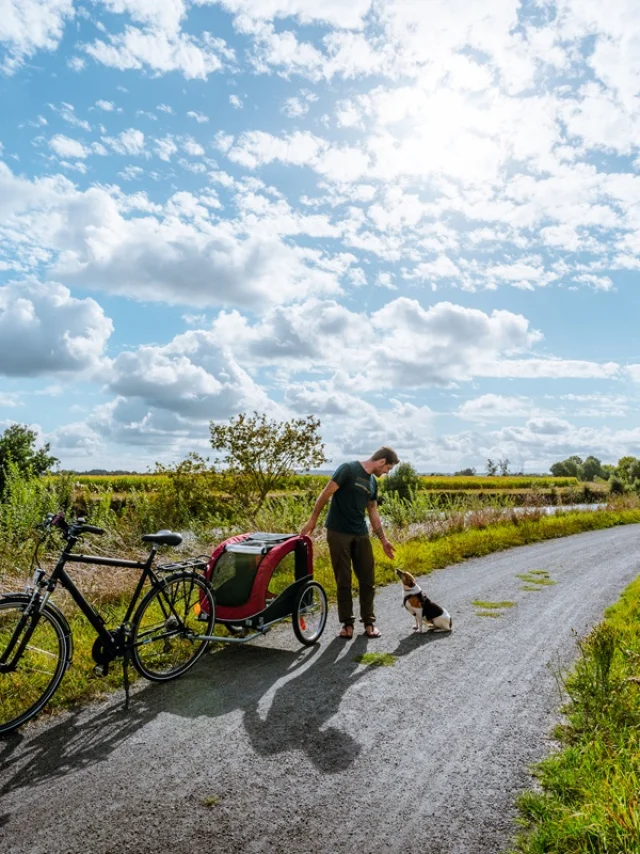Balade à vélo le long de la Vilaine (La Chapelle-de-Brain)