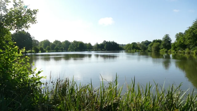 Etang Bourgbarré