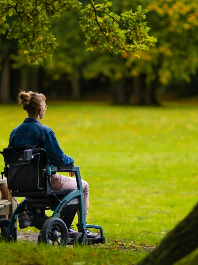 Balade Accessible Pmr Libre De Droits