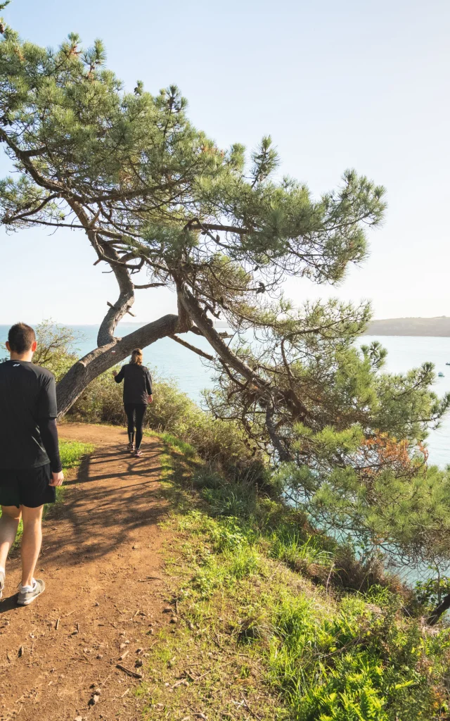 Le GR® 34, de Saint-Coulomb à Cancale
