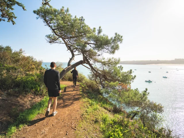 Le GR® 34, de Saint-Coulomb à Cancale