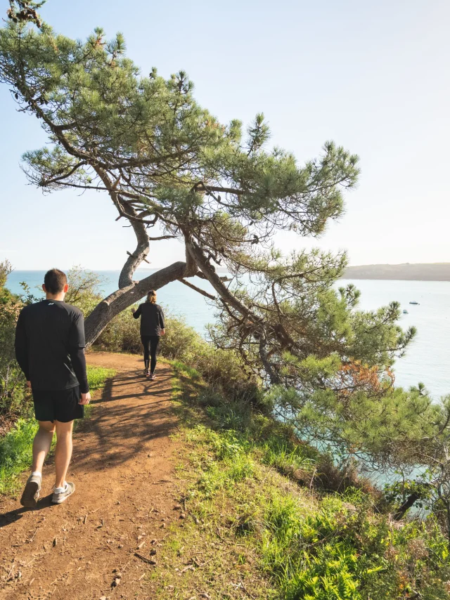 Le GR® 34, de Saint-Coulomb à Cancale