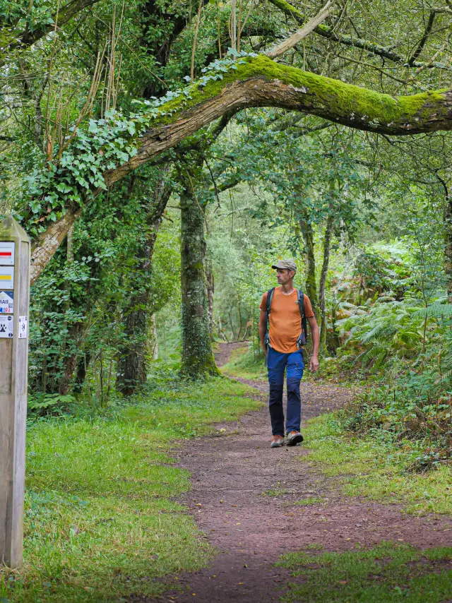 Vallon De La Chambre Au Loup 7 David Genestal