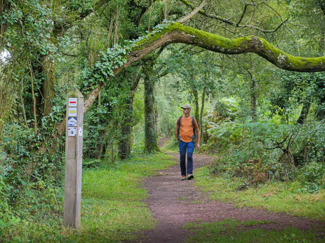 Vallon De La Chambre Au Loup 7 David Genestal