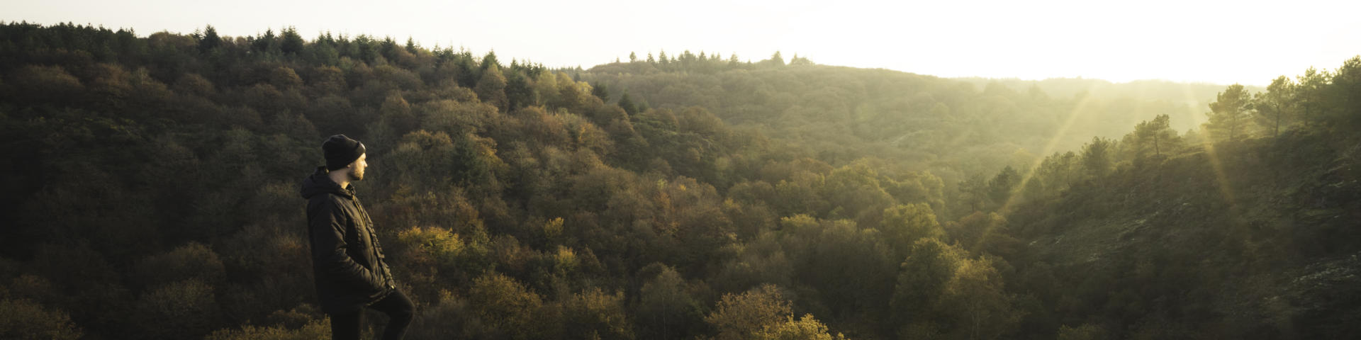 Bosque de Brocéliande, otoño-invierno