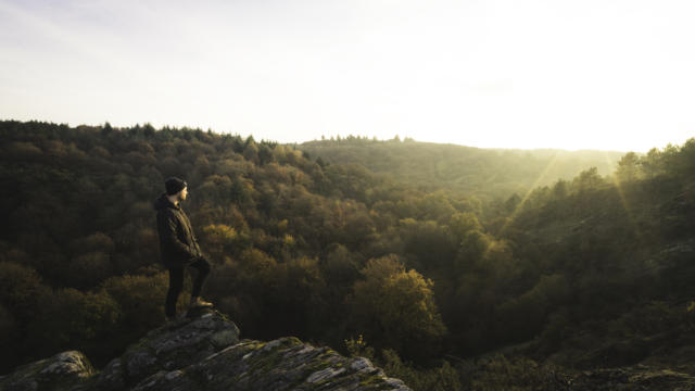 Foret de Brocéliande, automne-hiver