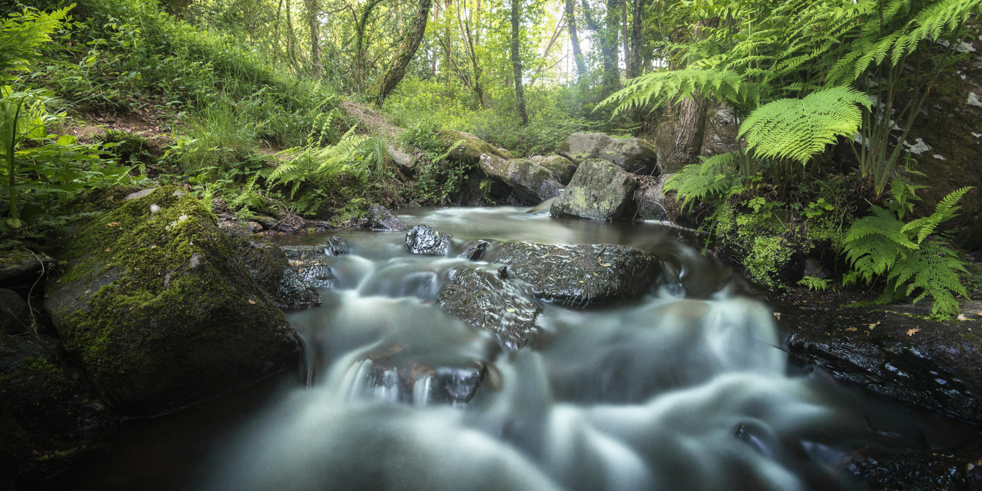 Torrente Brocéliande