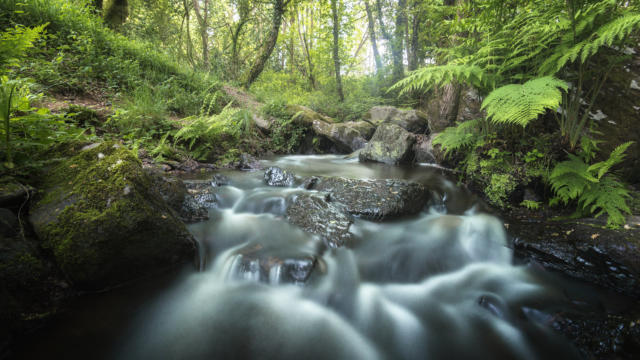 Ruisseau Brocéliande