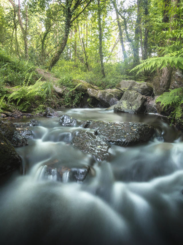 Ruisseau Brocéliande
