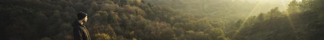 Foret de Brocéliande, automne-hiver