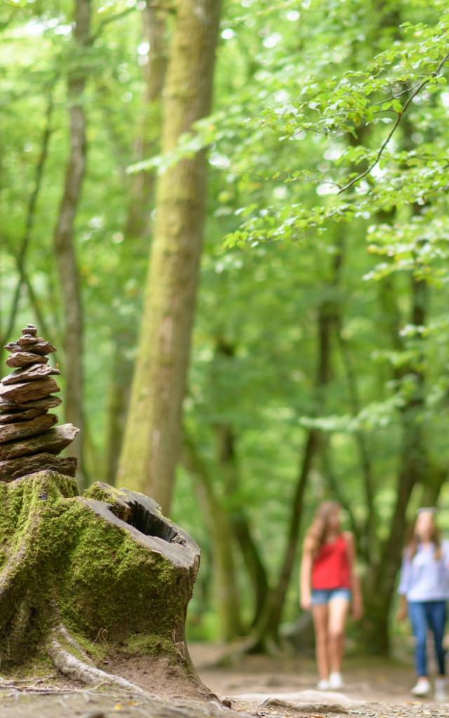 Märchenhafter Spaziergang im Wald von Brocéliande