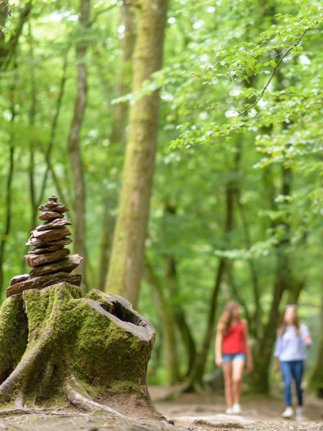Verhalenwandeling in het bos van Brocéliande