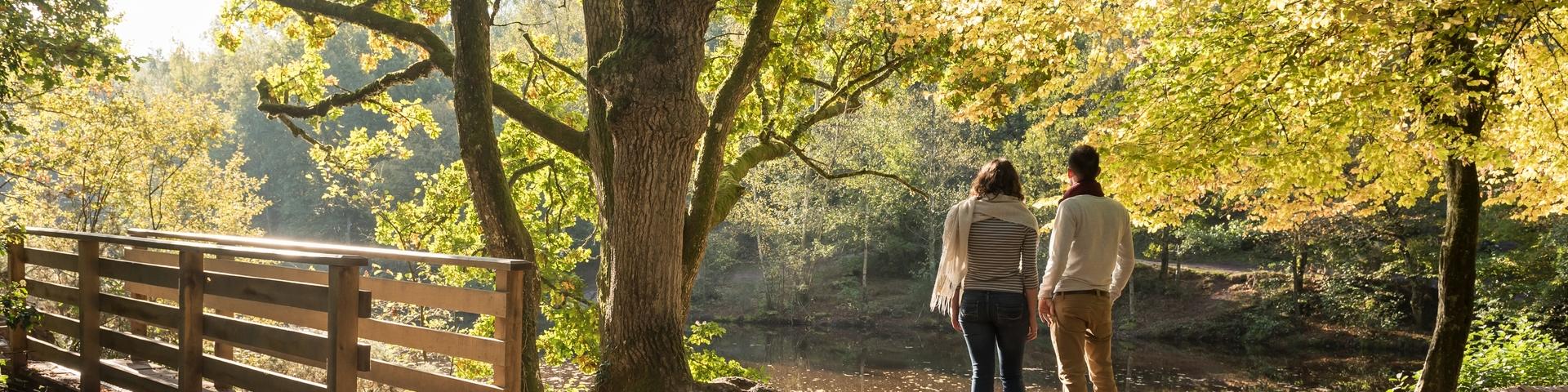 Frankrijk, Morbihan (56), Tréhorenteuc, la Val sans Retour