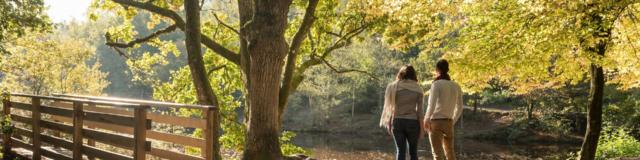 Frankrijk, Morbihan (56), Tréhorenteuc, la Val sans Retour