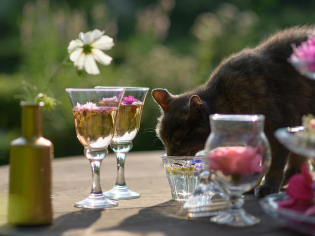 Lokale Produkte Emmanuel Berthier