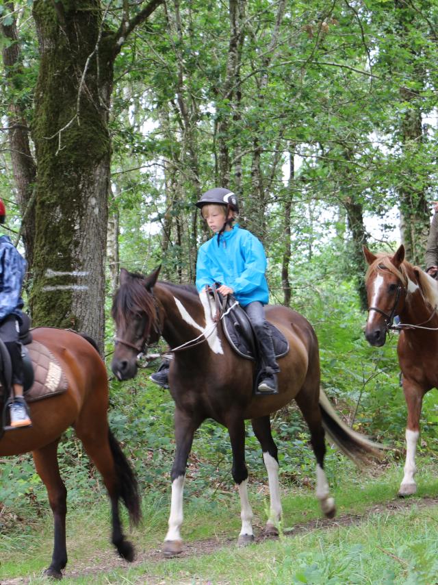 Centro Equestre del Lago di Trémelin - Brocéliande - Bretagna