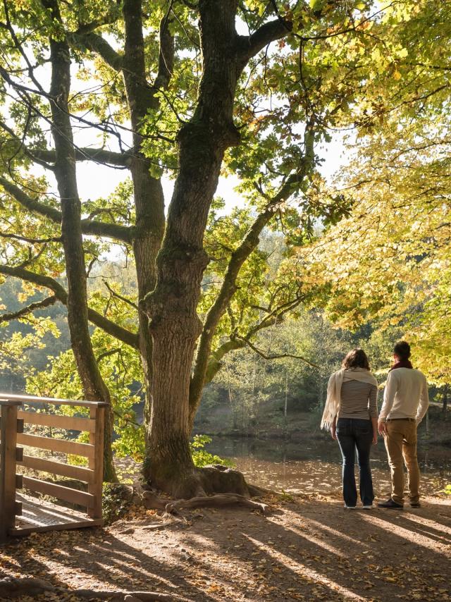 Frankrijk, Morbihan (56), Tréhorenteuc, la Val sans Retour