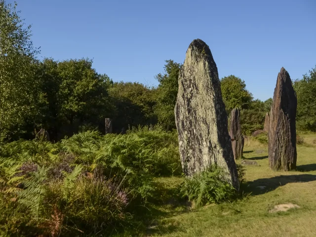 Les megalithes de Montheneuf