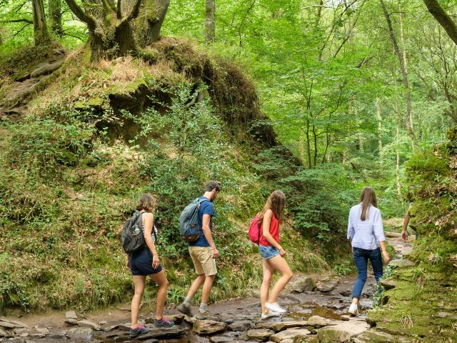 Passeggiata nella foresta di Brocéliande