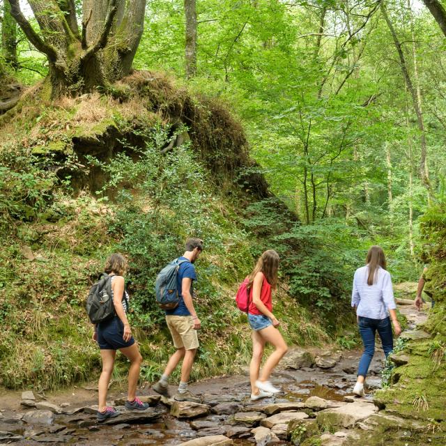 Paseos por el bosque de Brocéliande