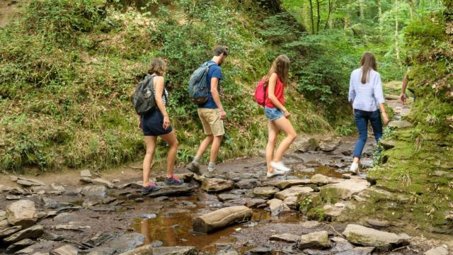 Paseos por el bosque de Brocéliande