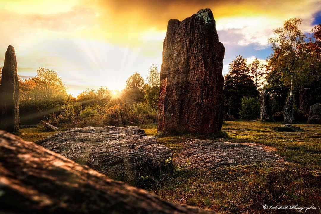 Instagram #broceliande