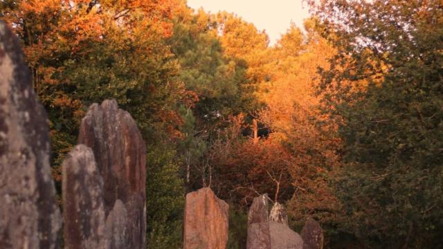 Menhirs de Monteneuf