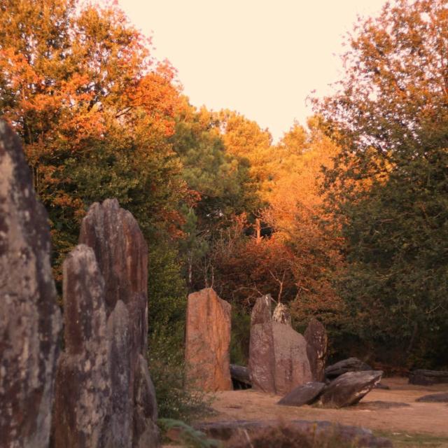 Menhires de Monteneuf
