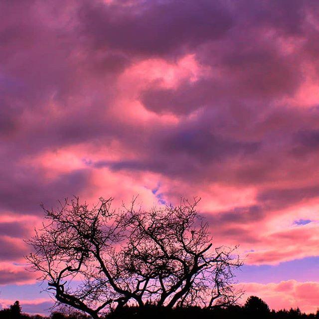 Cielo rosa a Lizio