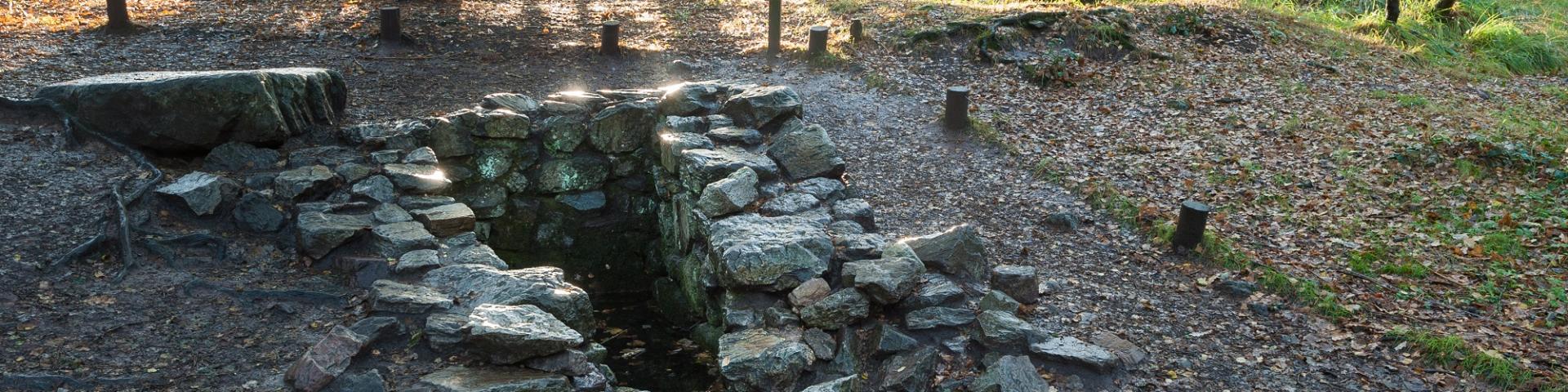 Paimpont, la fuente de Barenton en el bosque de Broceliande.