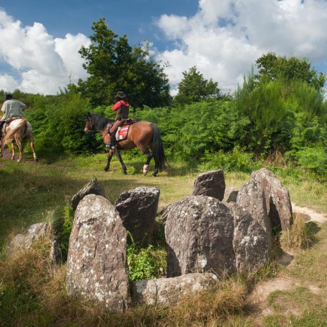Hôtié de Viviane, legendarische site, Brocéliande