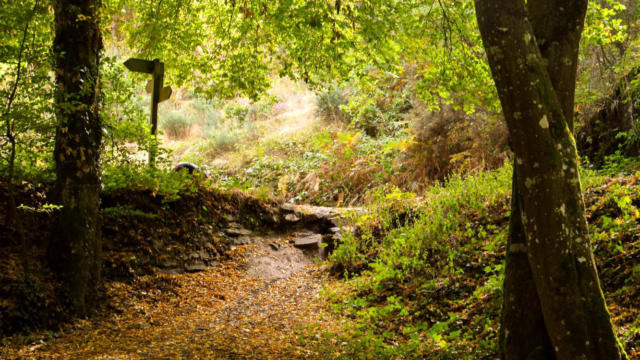 Forêt Brocéliande automne, Val sans retour