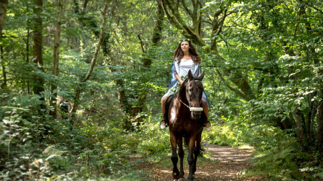 Tréhorenteuc, fee te paard bij Val sans Retour