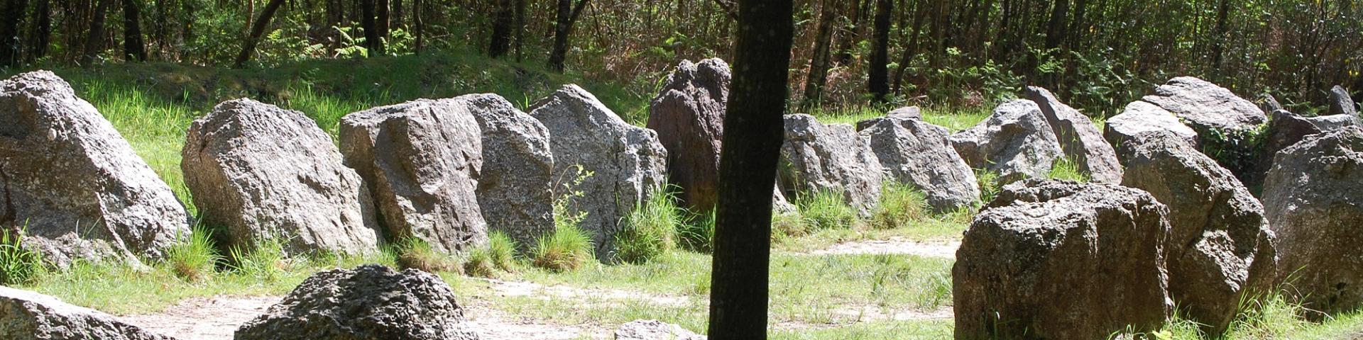 jardin aux moines sito megalitico nella foresta di Brocéliande